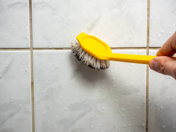 Mold Removal and Inspection in Spring Grove, IL