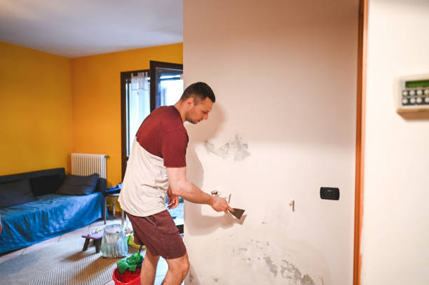Best Mold Remediation  in Spring Grove, IL